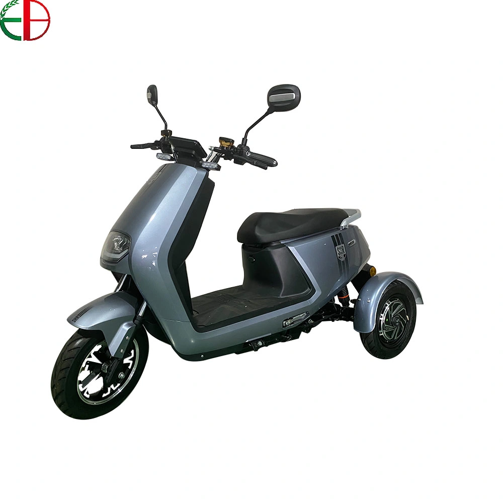 3 Wheels 650W Gear Motor Electric Scooter Tricycle with EEC Coc for Europe Market