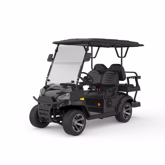 Unique Design Popular Golf Classic Electric Car Buggy Vehicle
