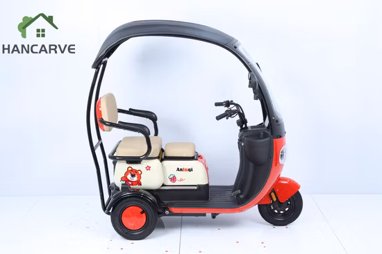3 Wheels Electric Vehicle with EEC L1e 25km/H for Europe
